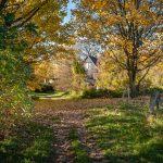 autumn-landscape