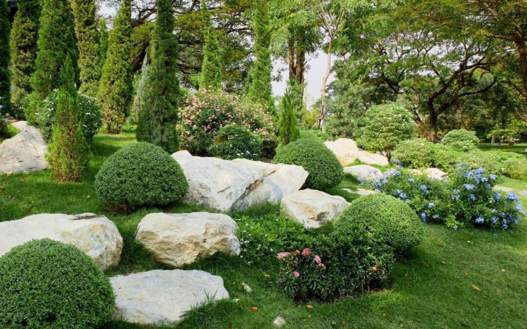 How to Create a Stunning Landscape: Gardening Design Tips for Beginners