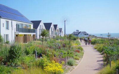 Explore Practical Tips for Sustainable Living in Vendée’s Coastal Cities